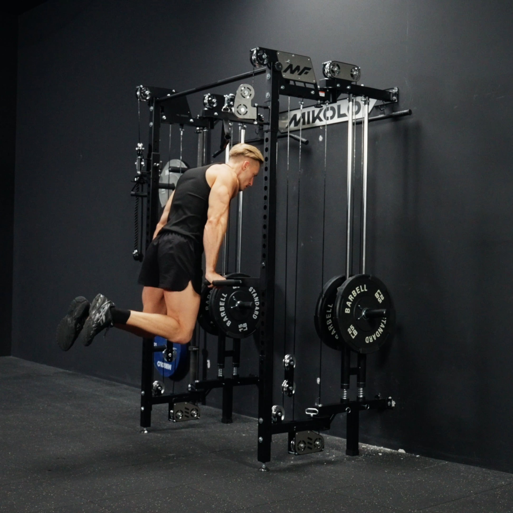 CHEETAH™ Power Rack Plegable de Pared con Entrenamiento Funcional
