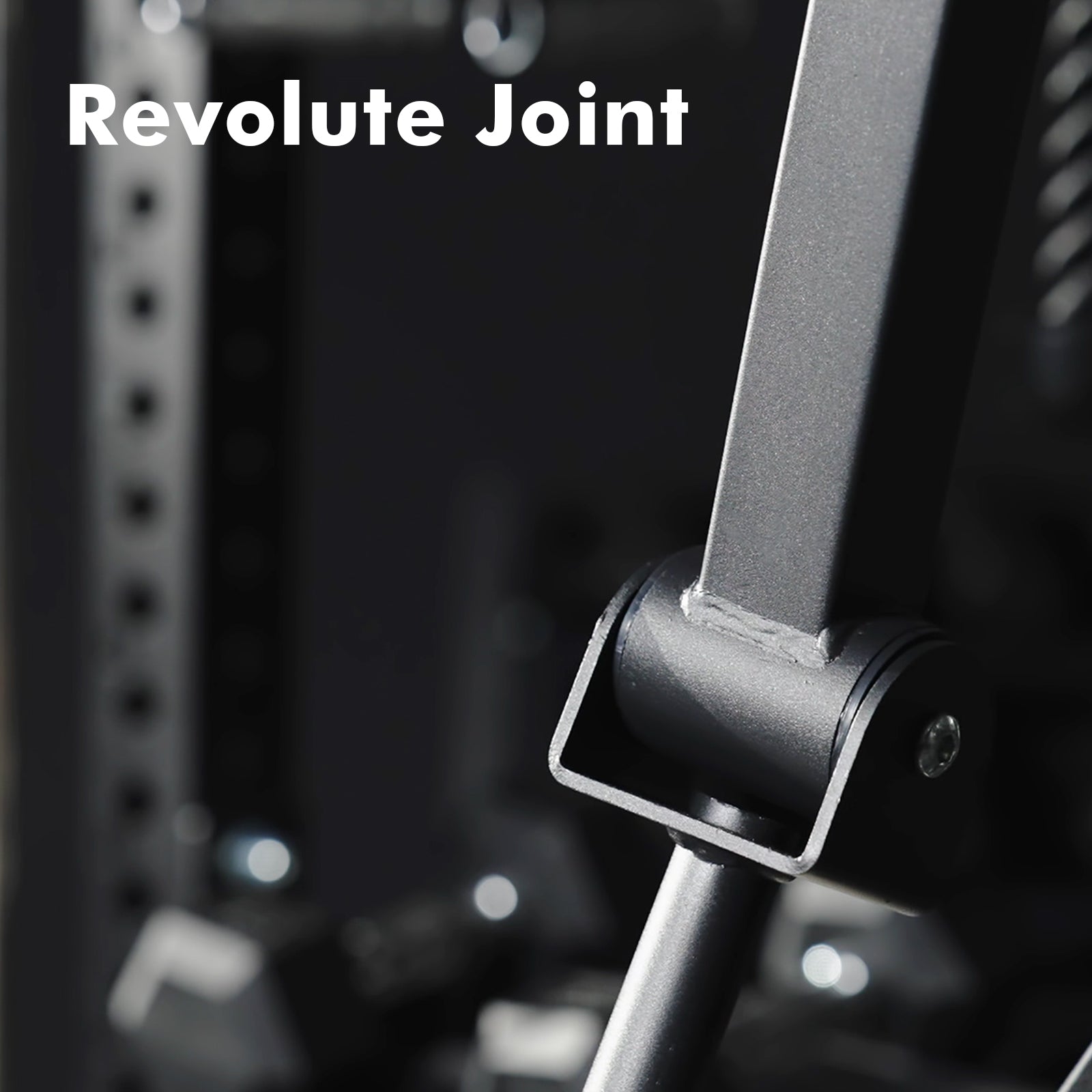 Rack Mounted Lateral Raise and Chest Fly