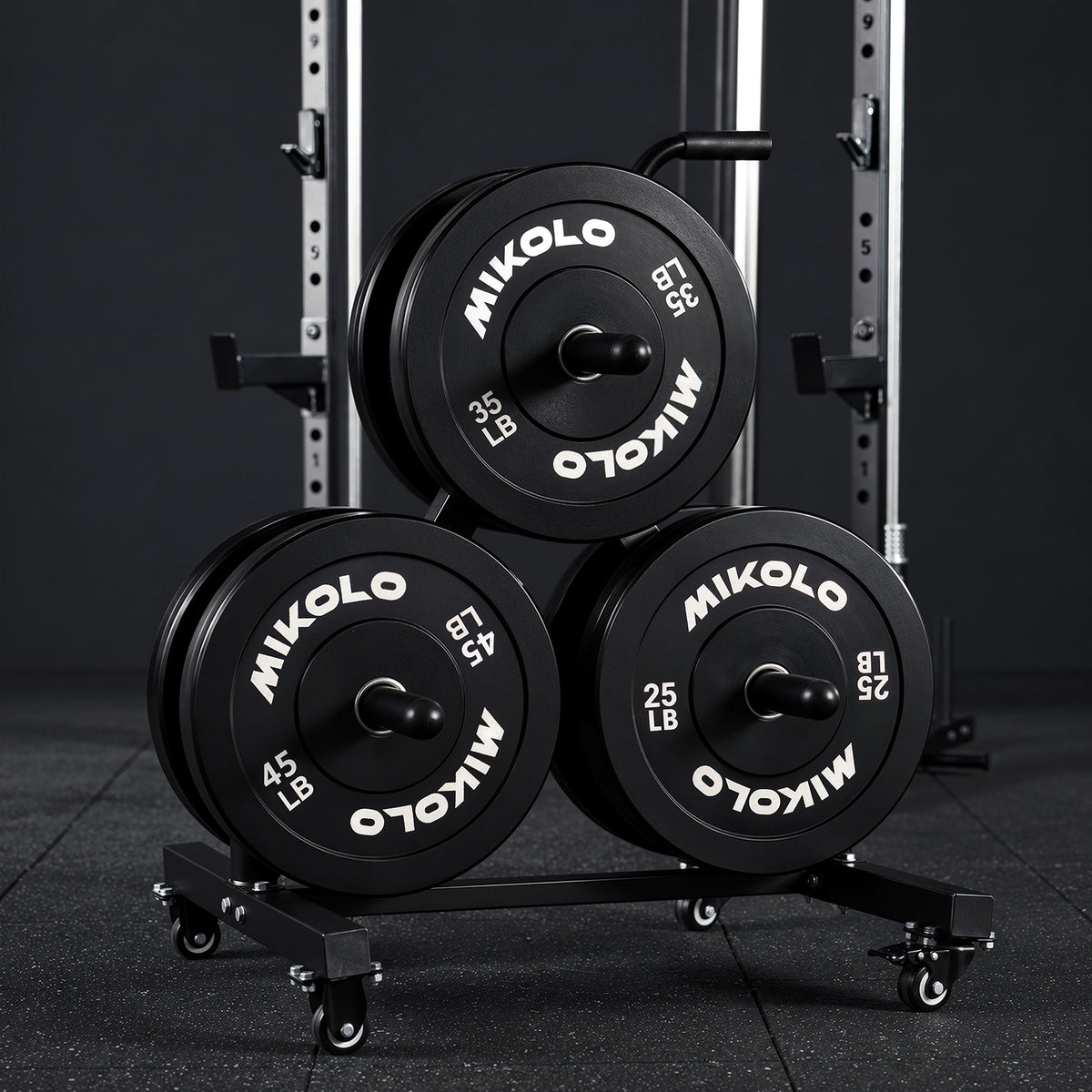 Portable Weight Plate and Barbell Storage Tree