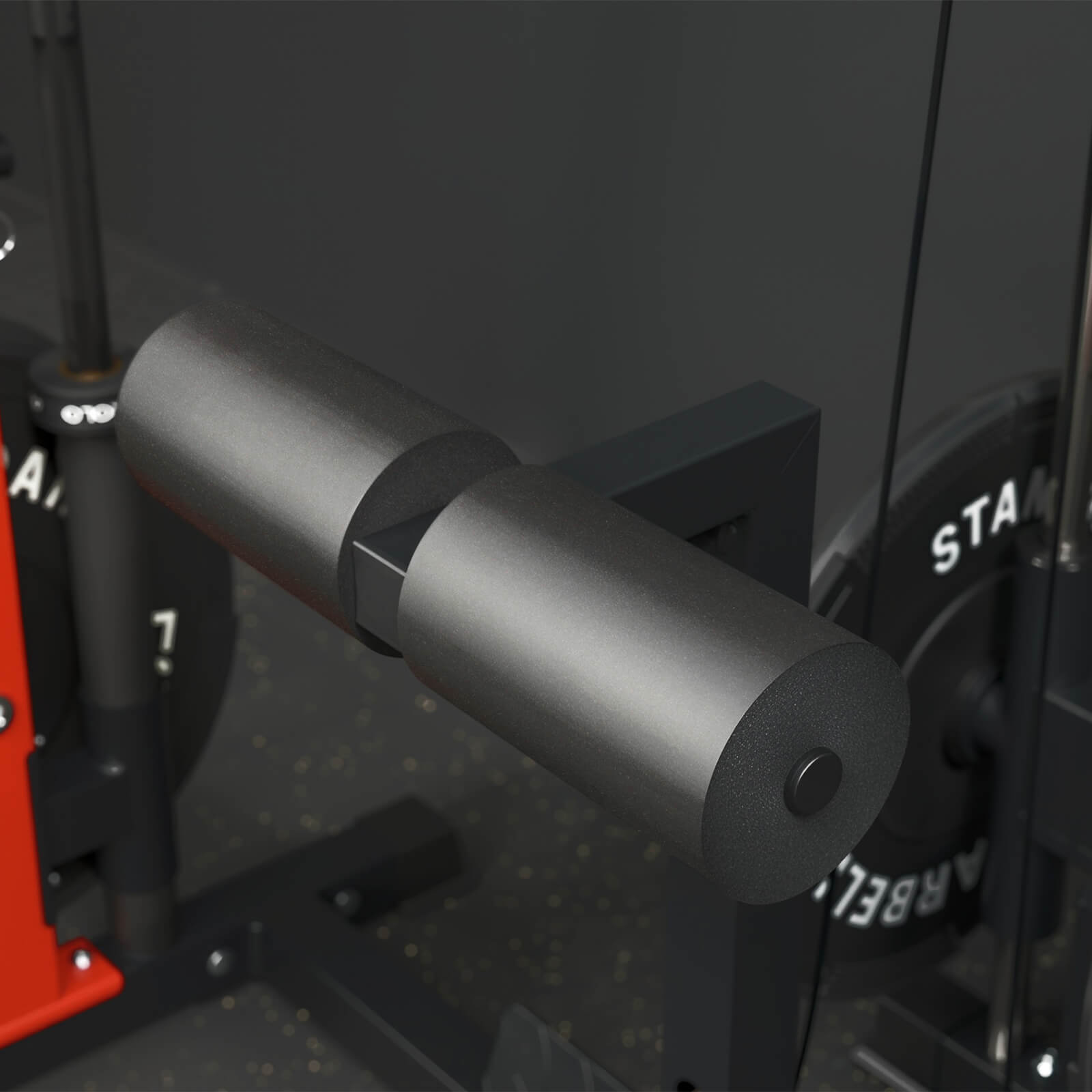 F4 Power Rack with Lat Pull Down System