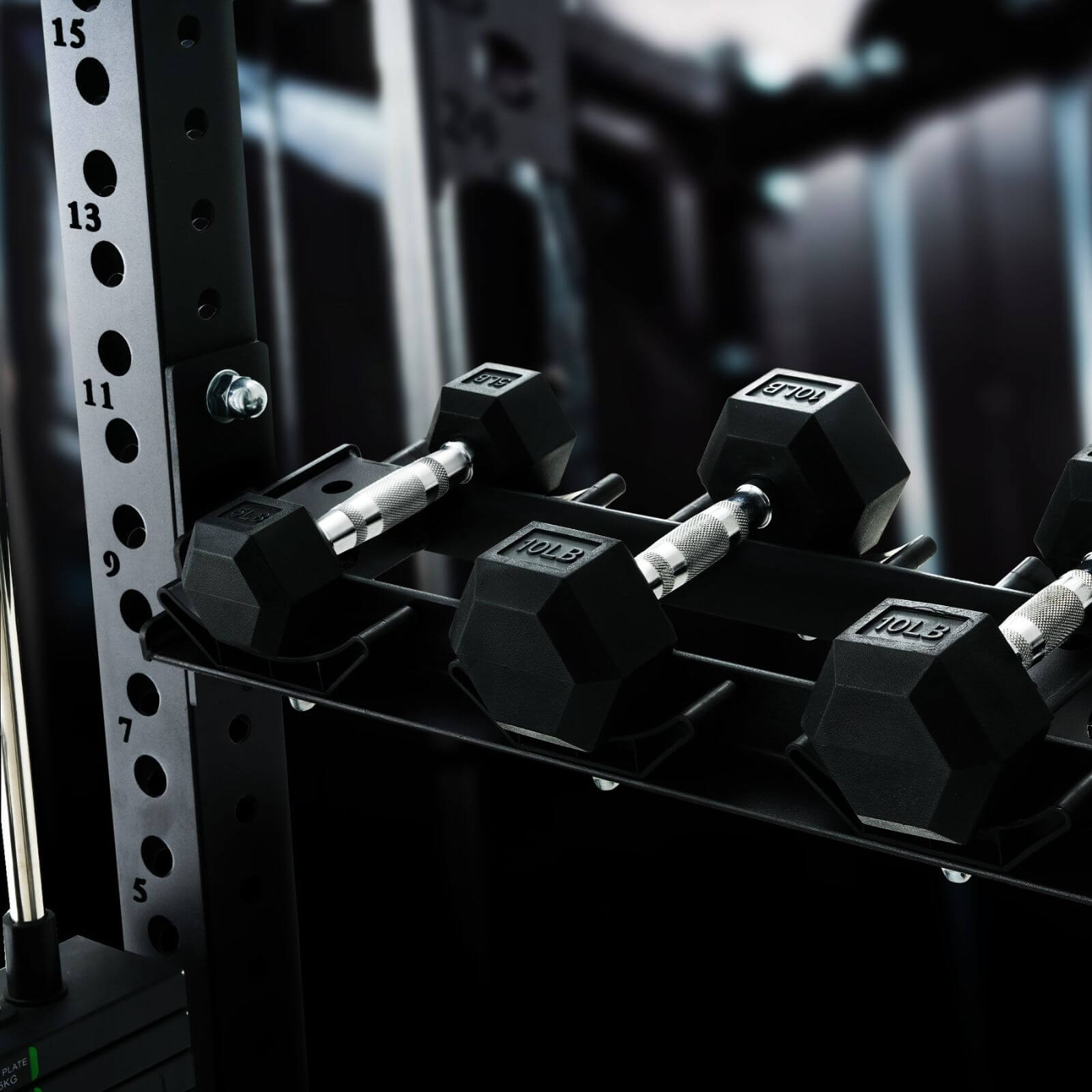 ANUBIS™-1.0 Half Rack Functional Trainer