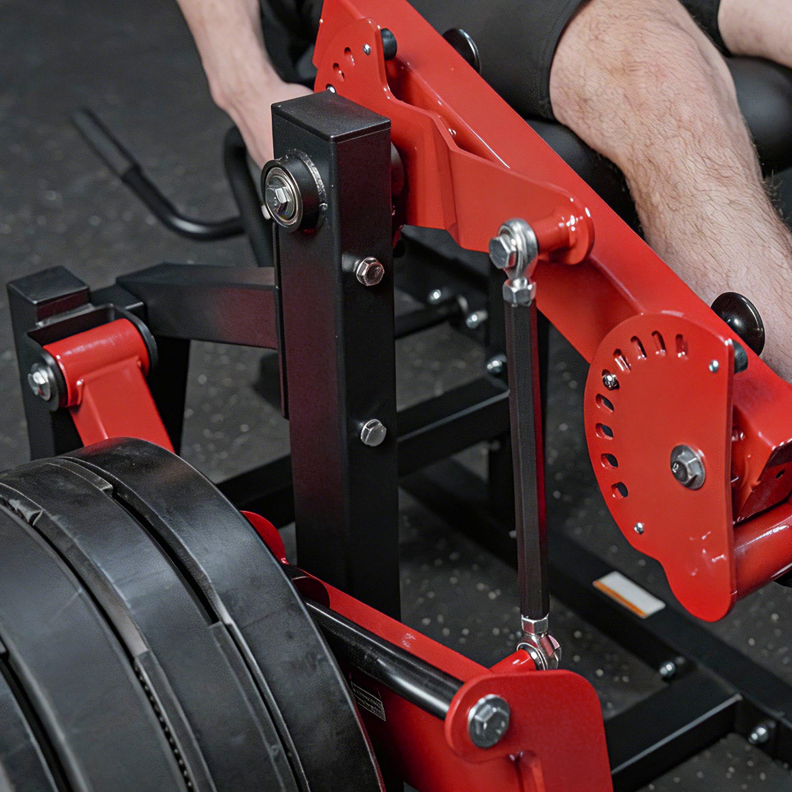 NOVA™ Leg Extension and Prone Leg Curl Machine