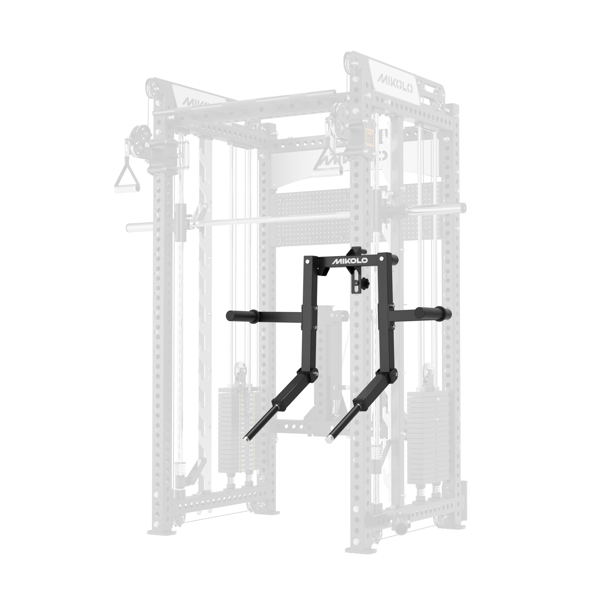 Rack-Mounted Lateral Raise