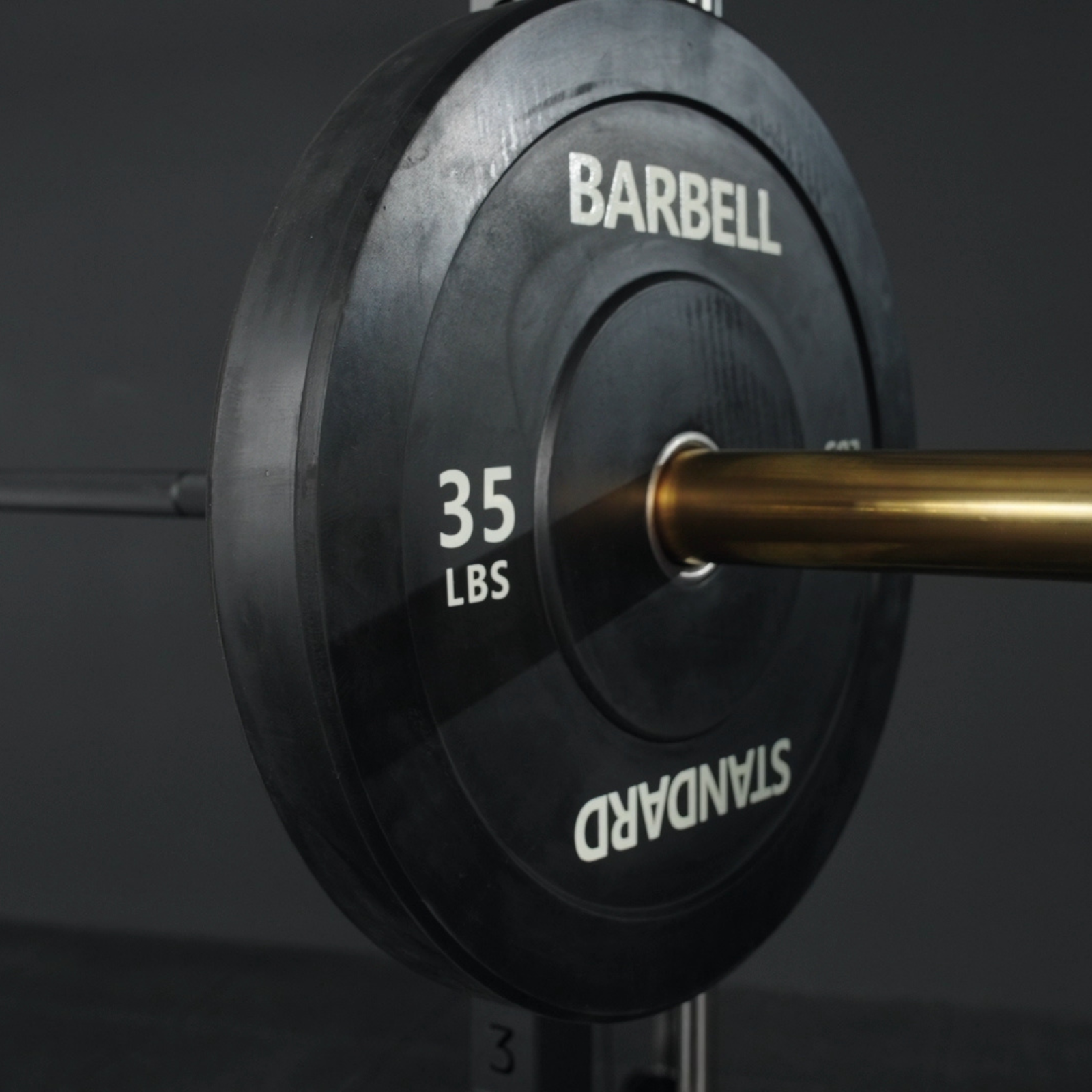 Black Bumper Plates WP05 - 230 lbs set