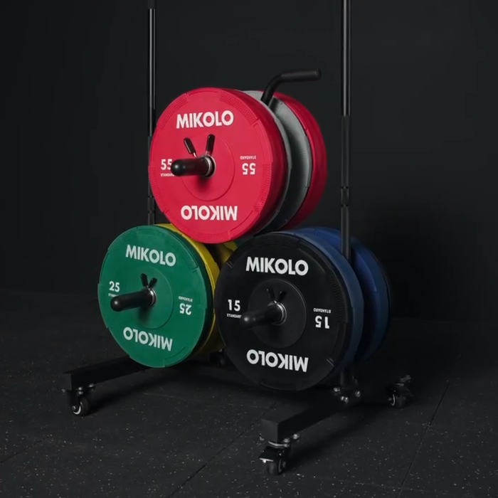 Portable Weight Plate and Barbell Storage Tree
