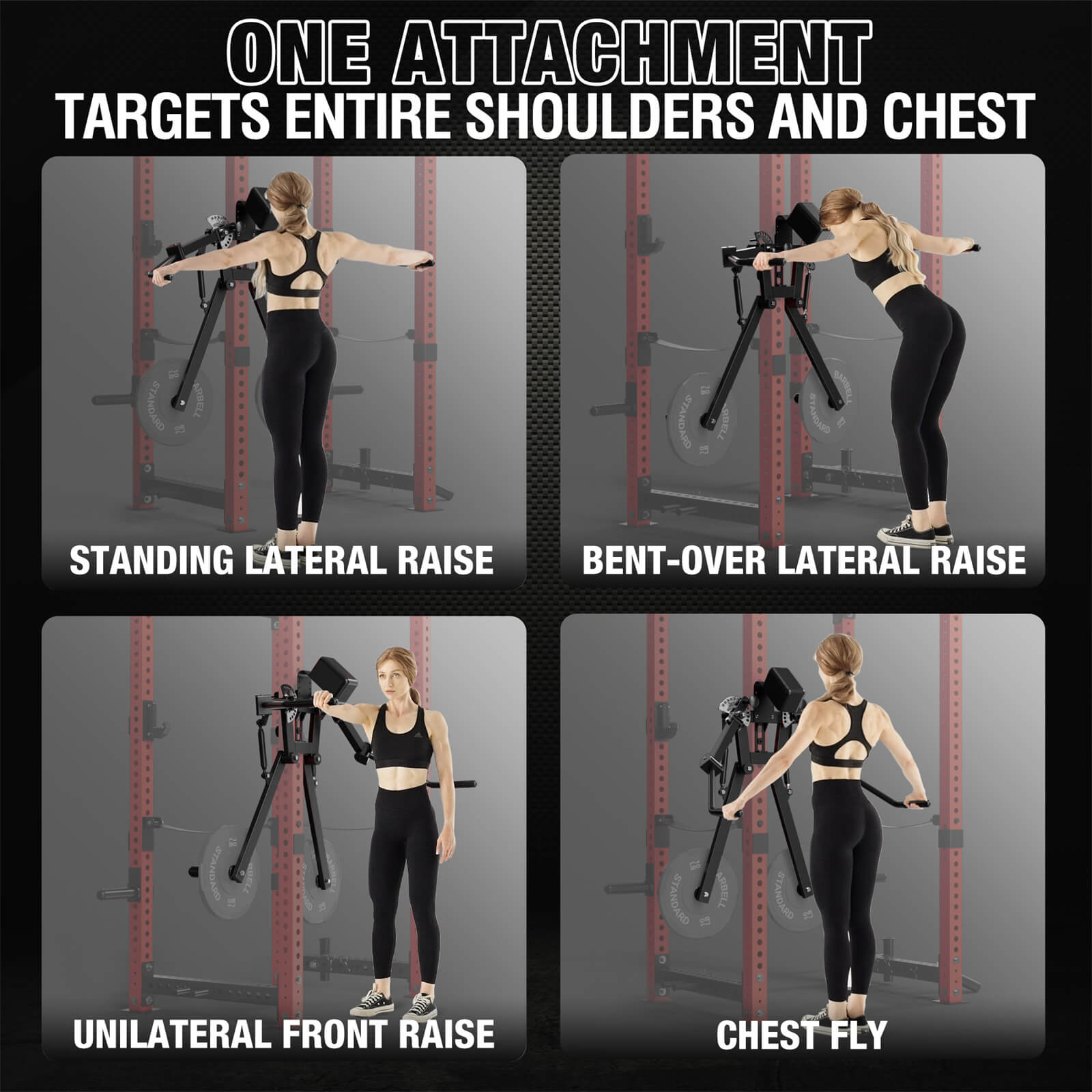 Rack Mounted Lateral Raise and Chest Fly