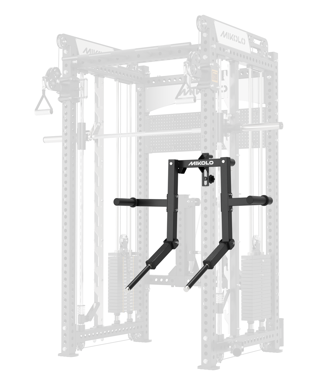 Rack-Mounted Lateral Raise