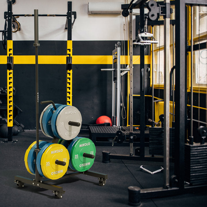 Mikolo Bumper Plate & Barbell Storage Tree in Home Gym