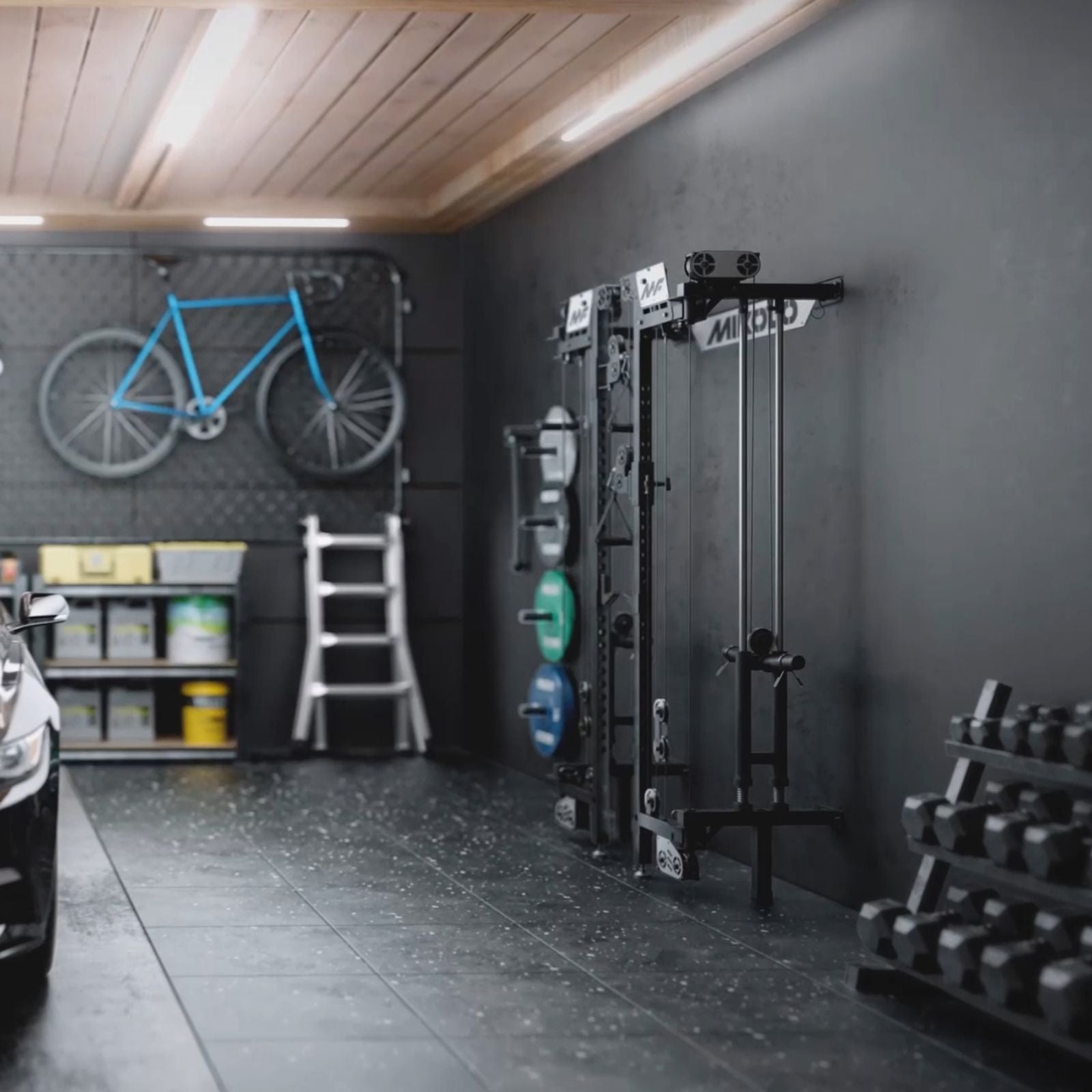 CHEETAH™ Power Rack Plegable de Pared con Entrenamiento Funcional