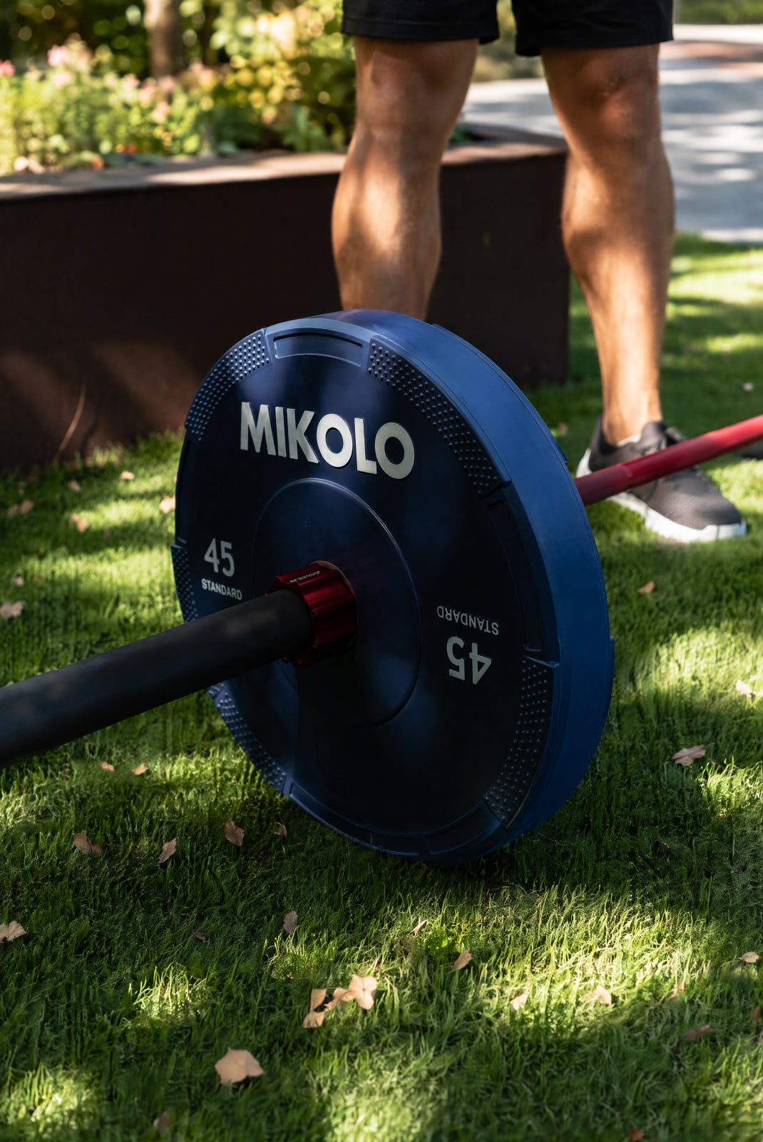 Bars & Weights