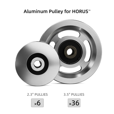 Aluminum Pulley Set