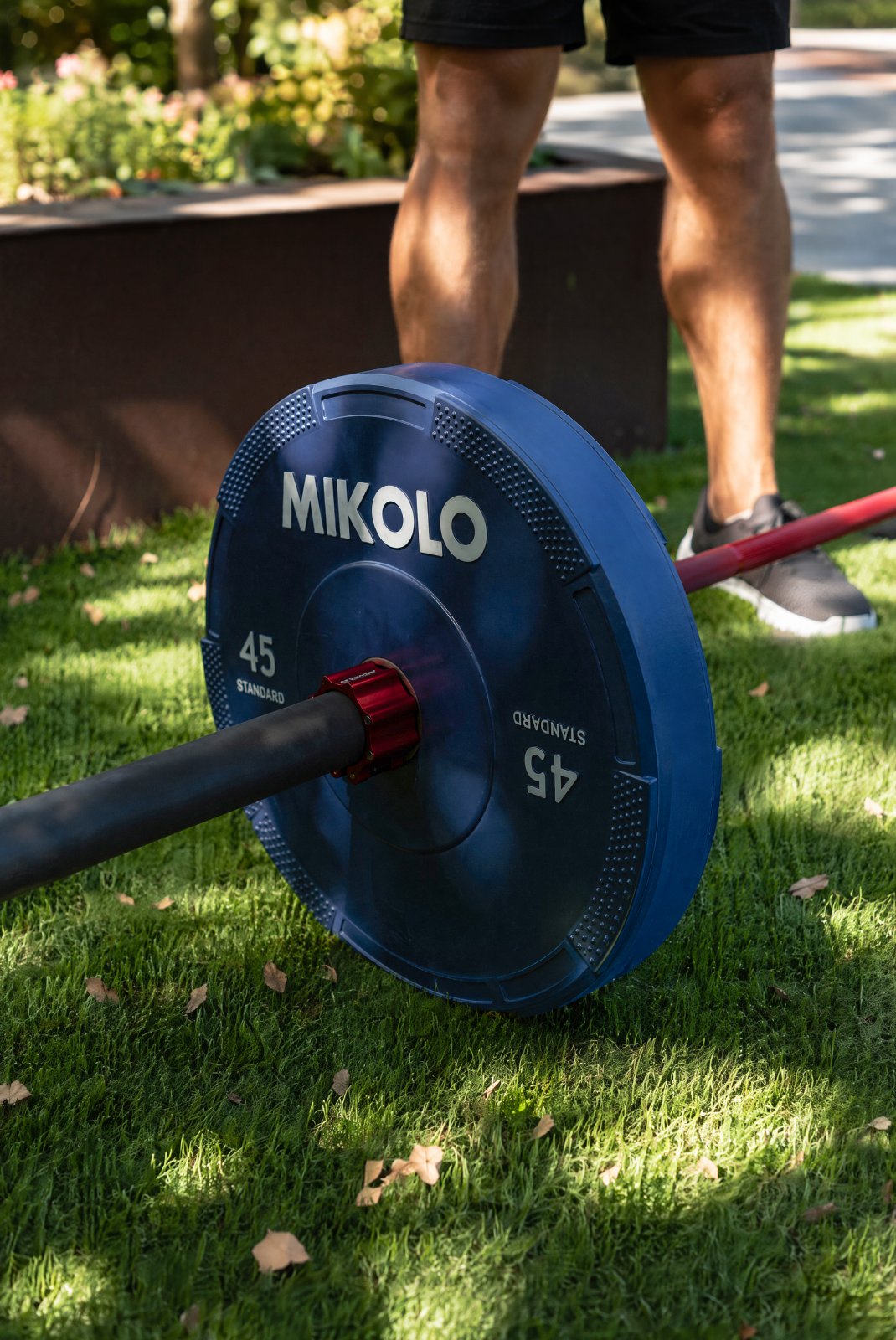 Bars & Weights