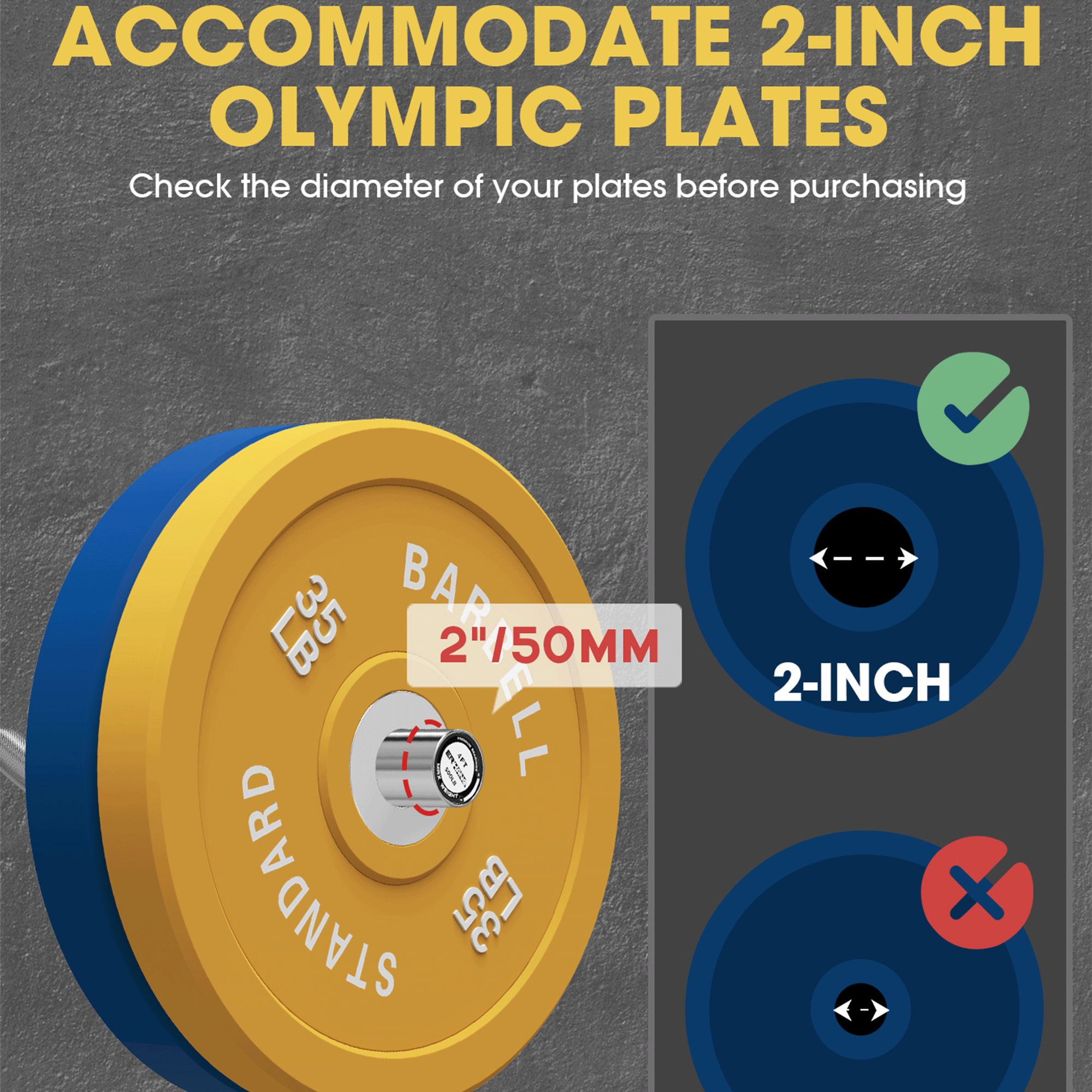 Olympic EZ  Curl Bar